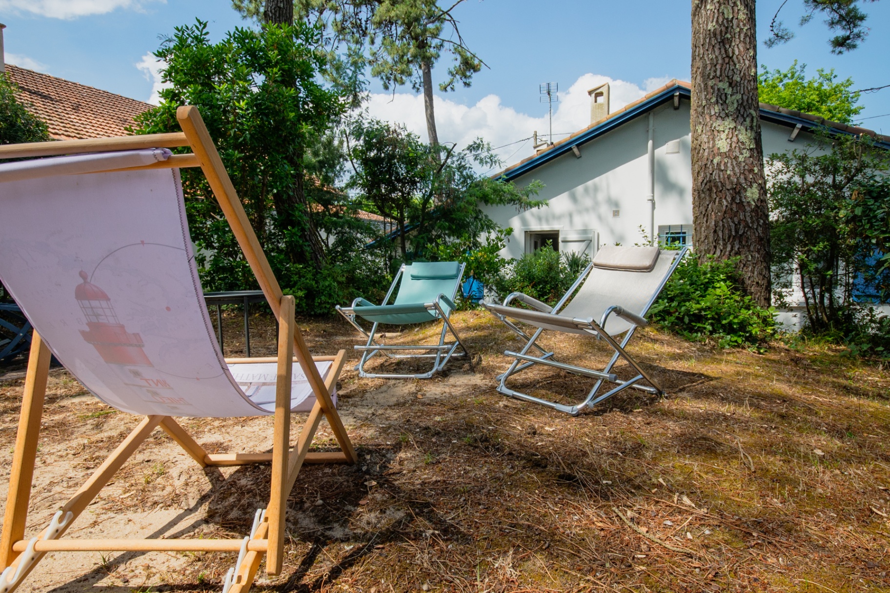 Transats dans le jardin sous les pins