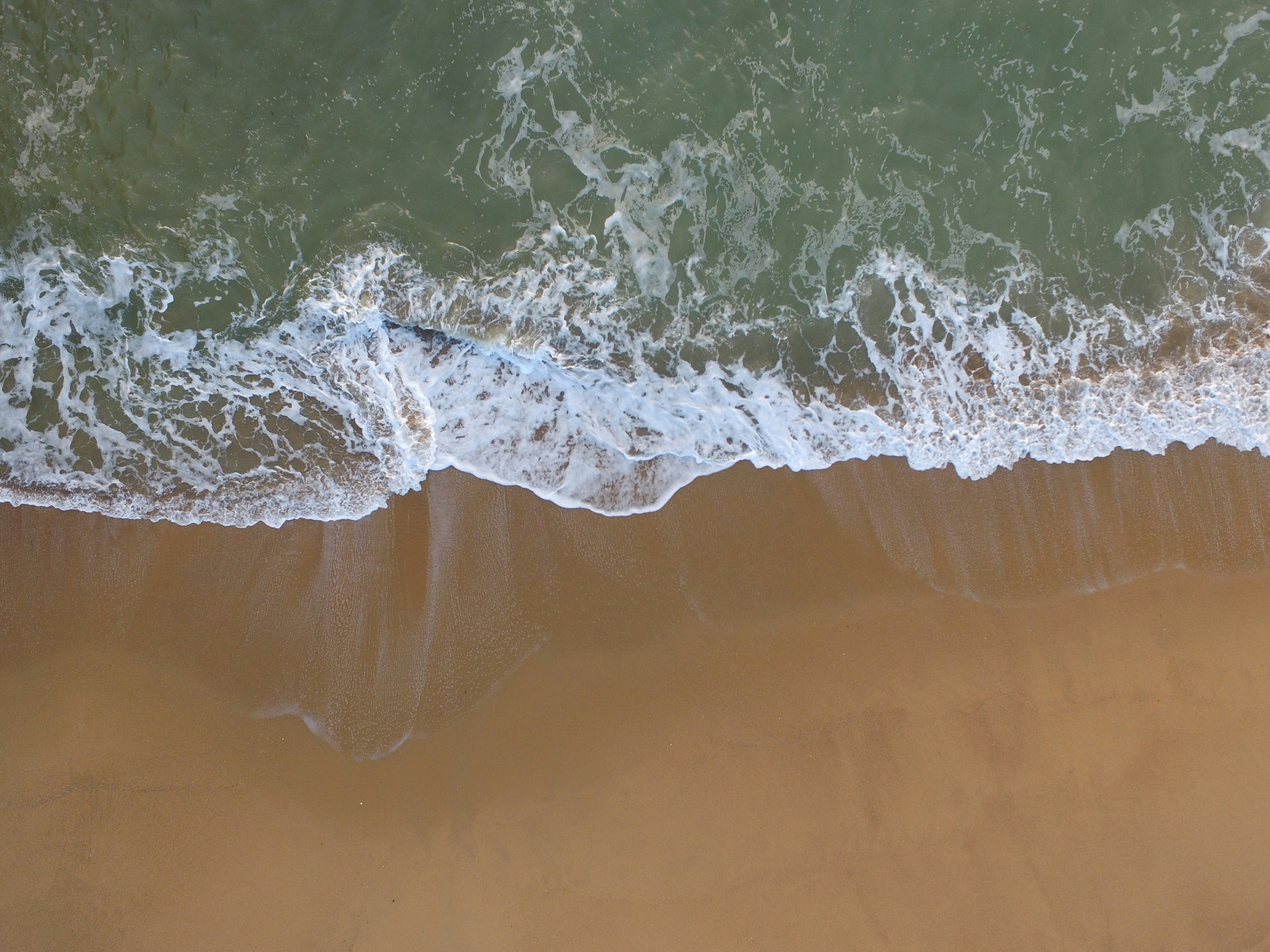 La Baule et son environnement