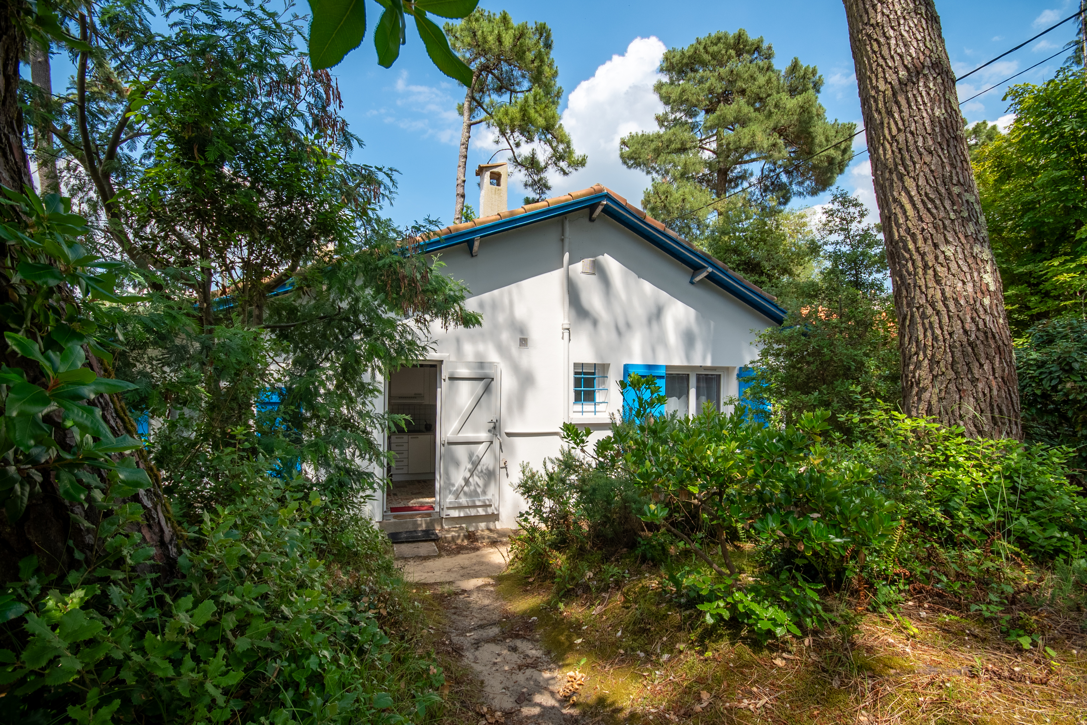 Ouverture sur le jardin et les pins